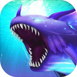 ky体育平台app